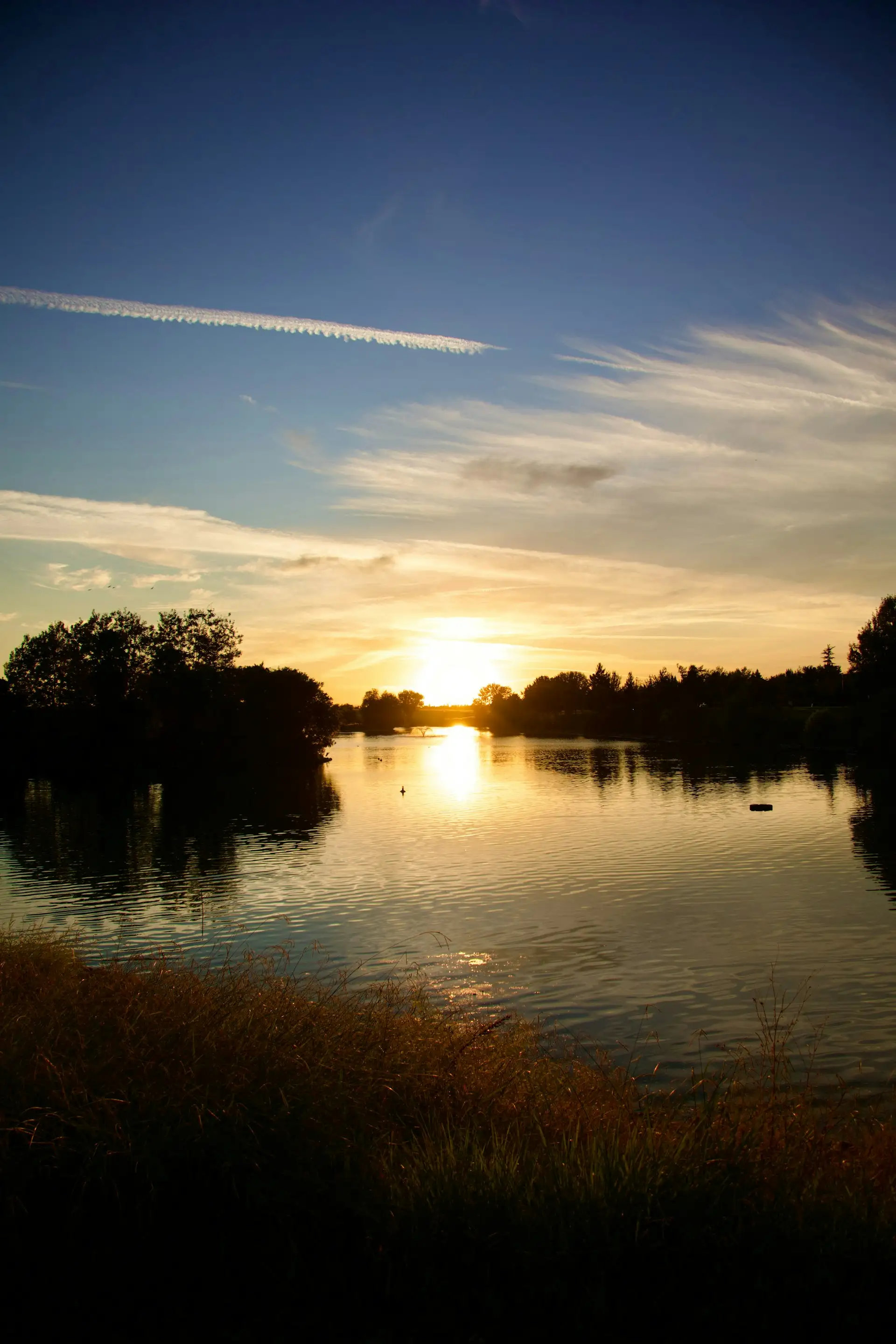Sunset over tranquil lake with silhouetted trees